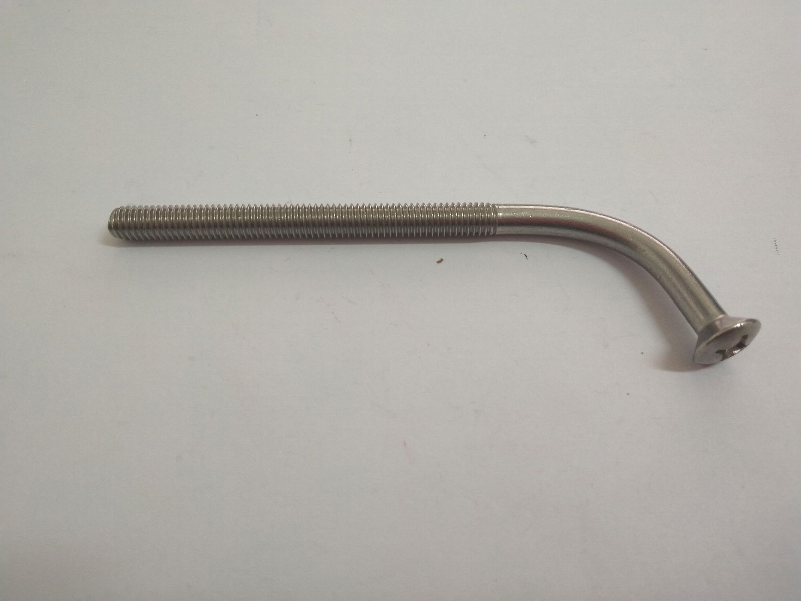 Special Type Screw in Stainless Steel 