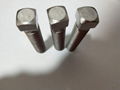 Square Head Bolts in Stainless steel