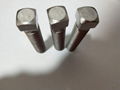 Square Head Bolts in Stainless steel 