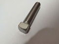 Square Head Bolts in Stainless steel  2