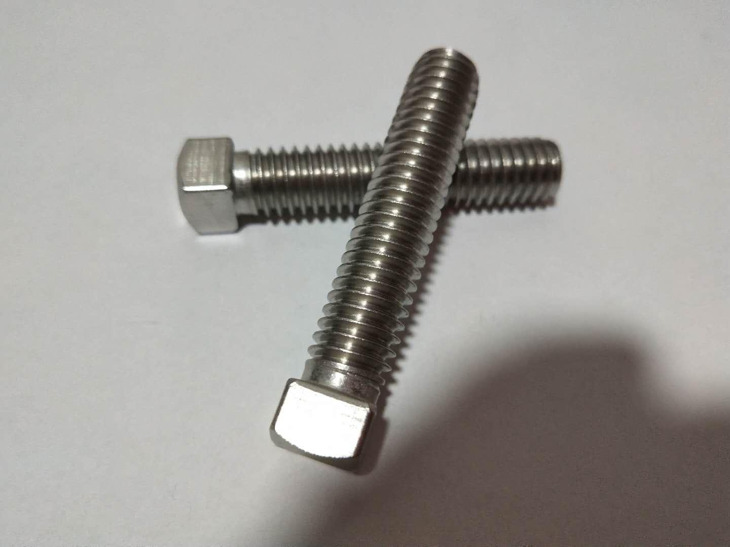 Square Head Bolts in Stainless steel  3