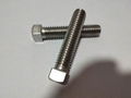 Square Head Bolts in Stainless steel  3