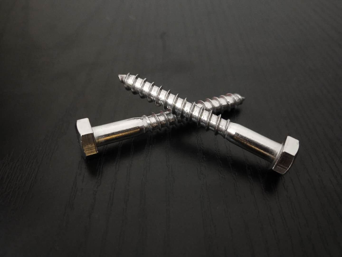 DIN571 Hex Head Wood Screw in A2 Stainless  3