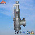 Spring Loaded Full Lift Steam Pressure