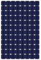 Mono-crystalline Solar Panels