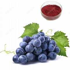 Grape Skin Extract Color