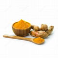 Curcumin