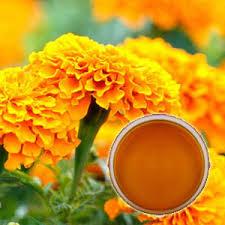 Marigold Oleoresin