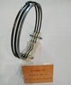 OEM Service Available Auto Engine Part Piston Ring 