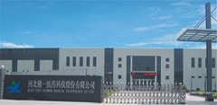 HEBEI FIRST RUBBER MEDCIAL TECHNOLOGY CO.,LTD