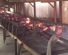 Fire resistant conveyor belt