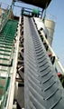 Chevron conveyor belt 1