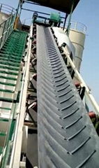 Chevron conveyor belt