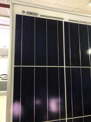 65w cheap price perfect service poly solar panel