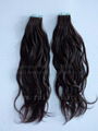 Tape in hair extensions 1