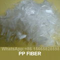 Monofilament Polypropylene Fiber PP Fiber for Concrete Reinforcement