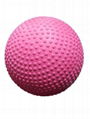 High Density EVA Roga Ball 3