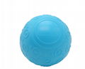 High Density EVA Roga Ball 4