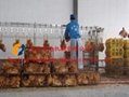poultry slaughtering line equipment 4