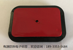 BSJ-2400FC Type 2.4 G Active RFID Anti-electronic Label