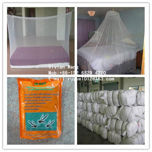 conical mosquito nets/triangle mosquito nets/treated mosquito nets/LLINs to Afri