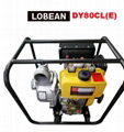 LOBEAN POWER DIESEL PUMP