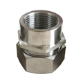 Stainless Steel Female NPT Thread Liquid