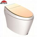 Water-tank-free intelligent toilet G66 1