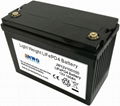 12V 100AH Lithium Ion Battery LiFePO4 Battery 12V 100Ah Manufacturer Supplier  1