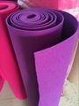 Polyester Felt 4