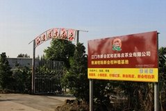 Xinhui Heming Orange Peel Tea Industry Co.,LTD.