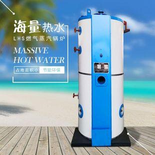  半吨燃气蒸汽锅炉 3