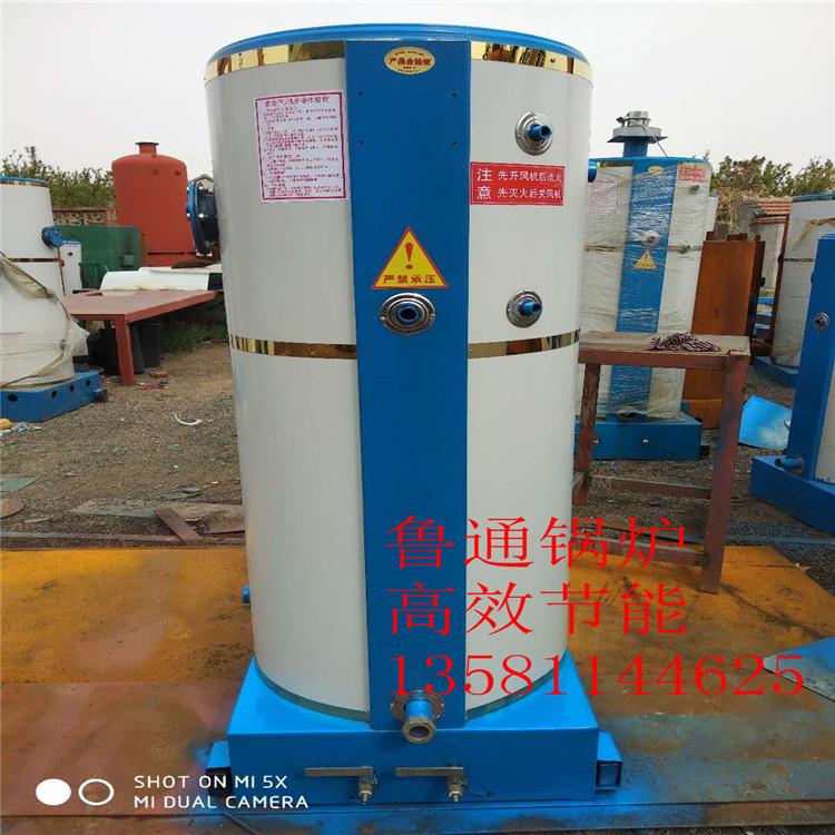立式燃氣蒸汽鍋爐廠家直銷 2