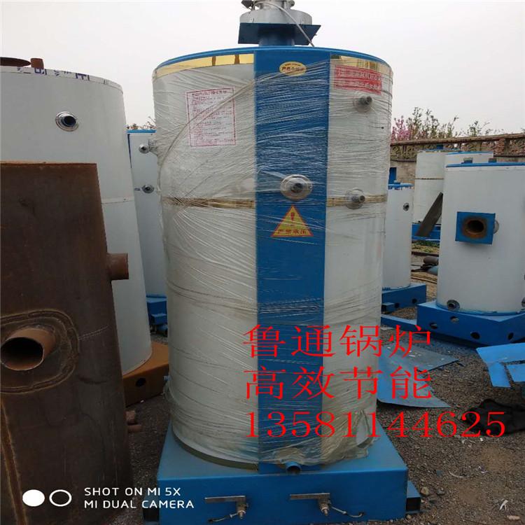 立式燃氣蒸汽鍋爐廠家直銷 3