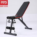 DDS 1203 Dumbbell Bench