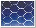 Hexagonal wire mesh 1