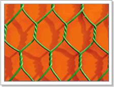 Hexagonal wire mesh 5