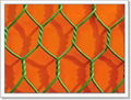 Hexagonal wire mesh 5