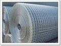 Welded Wire Mesh