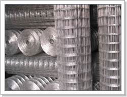  Welded Wire Mesh 5