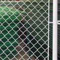  Chain Link Fence 3