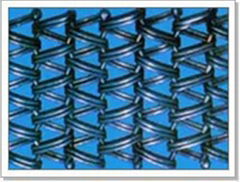 Convery Belt Mesh