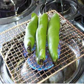 Wire Mesh Barbecue 2