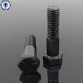 Hex Bolts SAE J429 Gr2 Gr5 Gr8 with Hexagonal