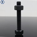 Thread Rod /Stud Bolt (DIN975 DIN976) 2