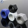 ASTM A194 2HM Heavy Hex Nuts 1