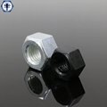 ASTM A194 2HM Heavy Hex Nuts 4