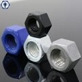 ASTM A194 2HM Heavy Hex Nuts 5