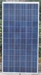 310watt Poly Crystalline Solar Modules