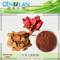 Water Soluble Rhodiola Rosea Powder Extract, Rhodiola Rosea Extract